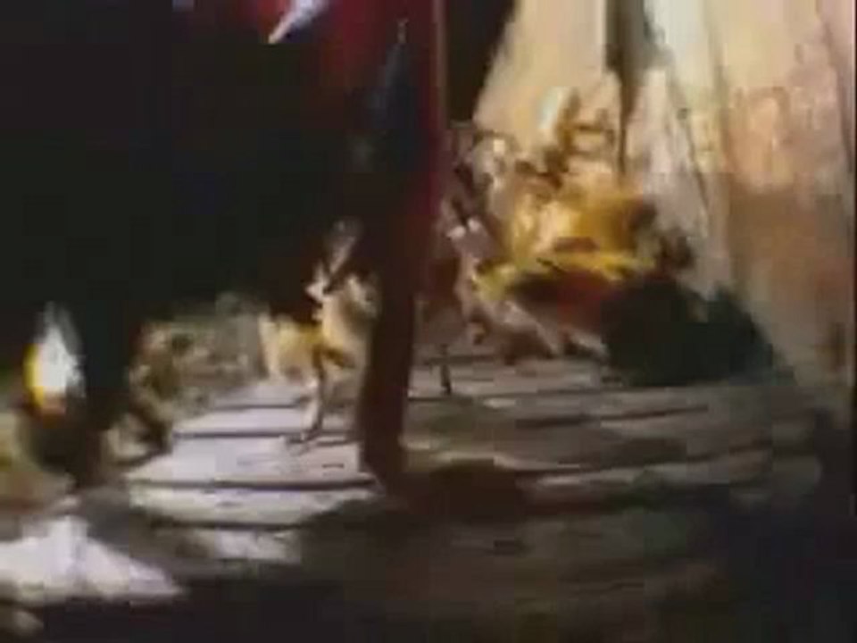 Bees 1