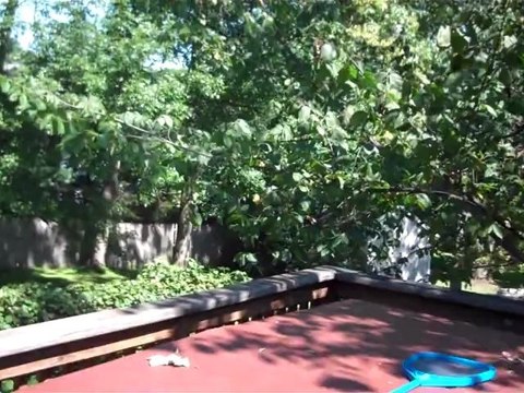 HD Camcorder for 47 Dollars!