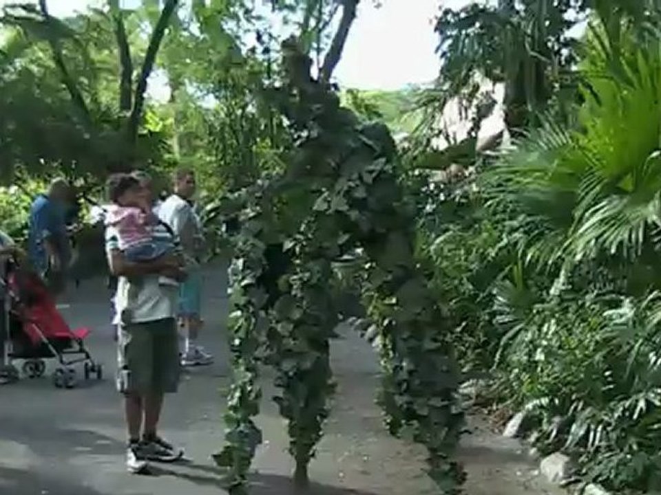 Animal -Kingdom- Africa - Disney