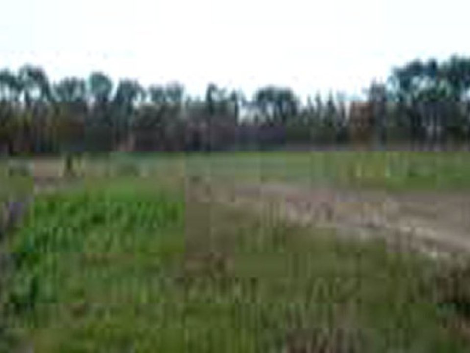 pargade