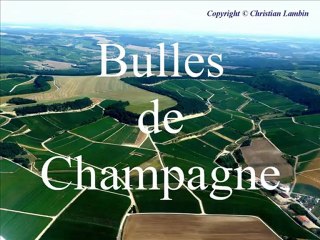 Bulles de Champagne