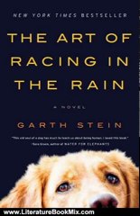 Literature Book Review: The Art of Racing in the Rain by Garth Stein