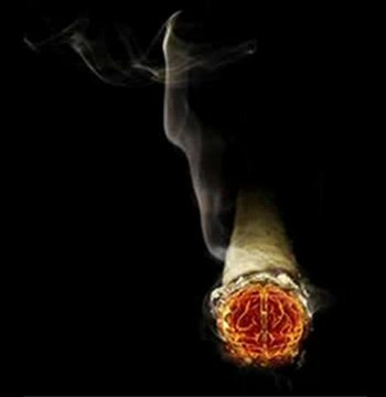 TRABZON AKCAABAT CEVİZLİK..KÖYÜ GÜNGÖR .YILDIZ.İPRAHİM ERKAL CANISI