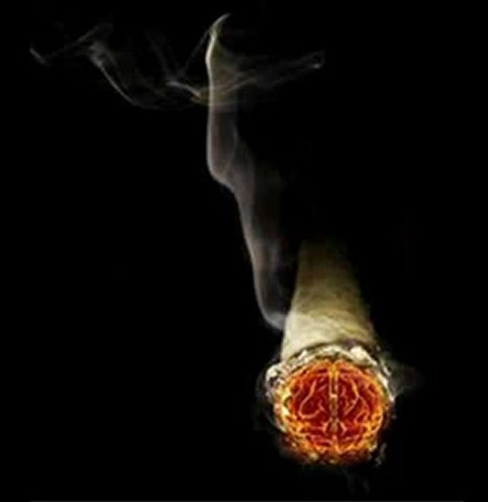 TRABZON AKCAABAT CEVİZLİK..KÖYÜ GÜNGÖR .YILDIZ.İPRAHİM ERKAL CANISI