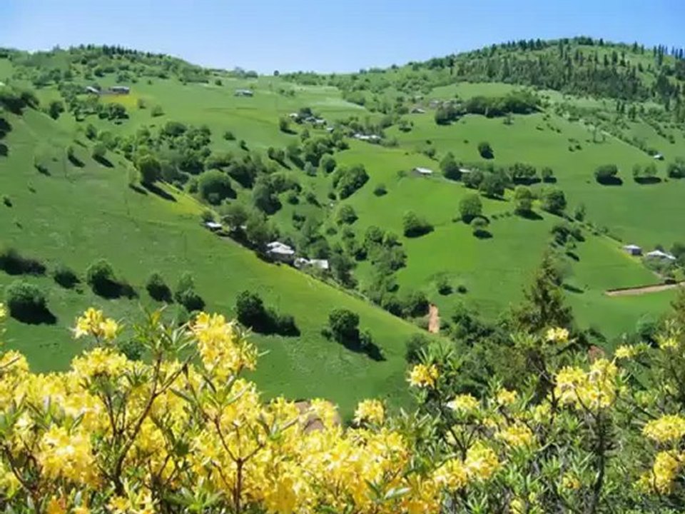 TRABZON AKCAABAT CEVİZLİK..KÖYÜ GÜNGÖR .YILDIZ .AHMET KAYA BEBEYİM