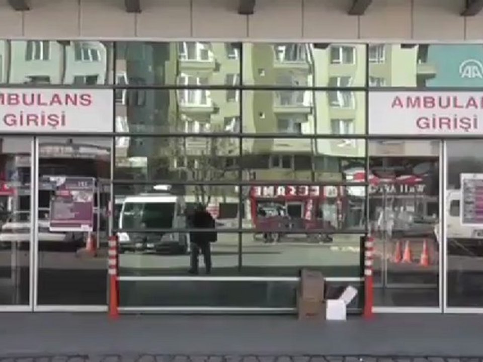 Kayseri'de maymun saldırısı