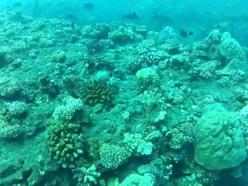 sortie bateau entre amis par Lilly Prod