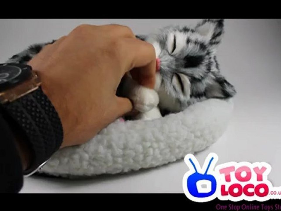 Breathing Cat Demo