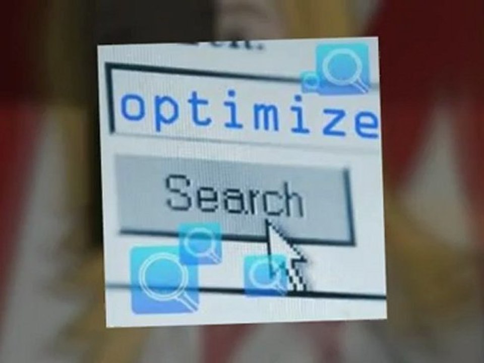 Expert Tampa SEO companies | 813 495 7070