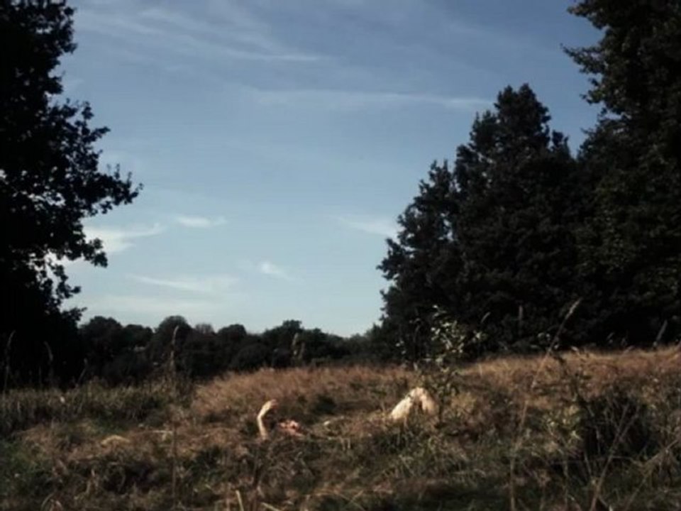 Scott Walker - Epizootics