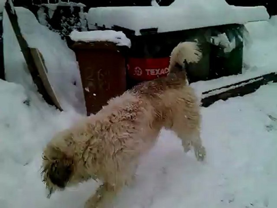VID_20121209_132001