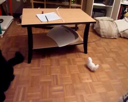 Tumtum et le ZhuZhu pets