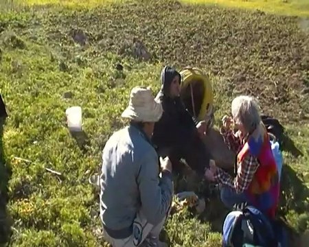 Invitation à partager un repas avec des paysans
