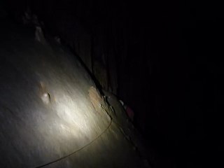 aven des pebres 09 dec 2012 (1)