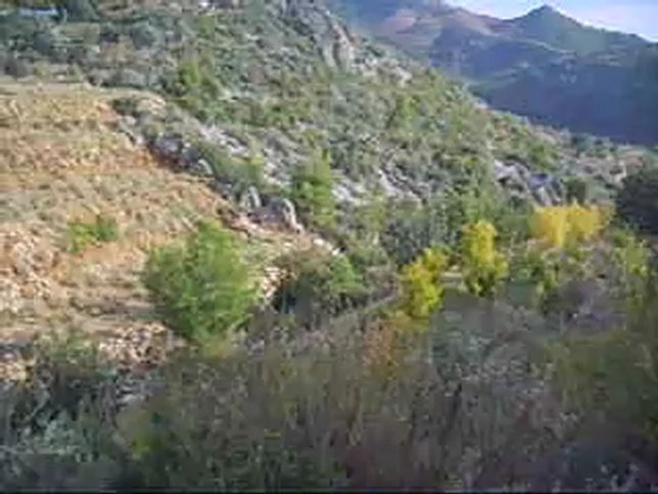 bahcetanıtım2