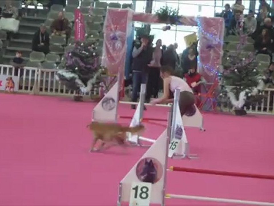 Magic hors concours Beaujoire 2012