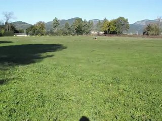 benoit sur T450pro align