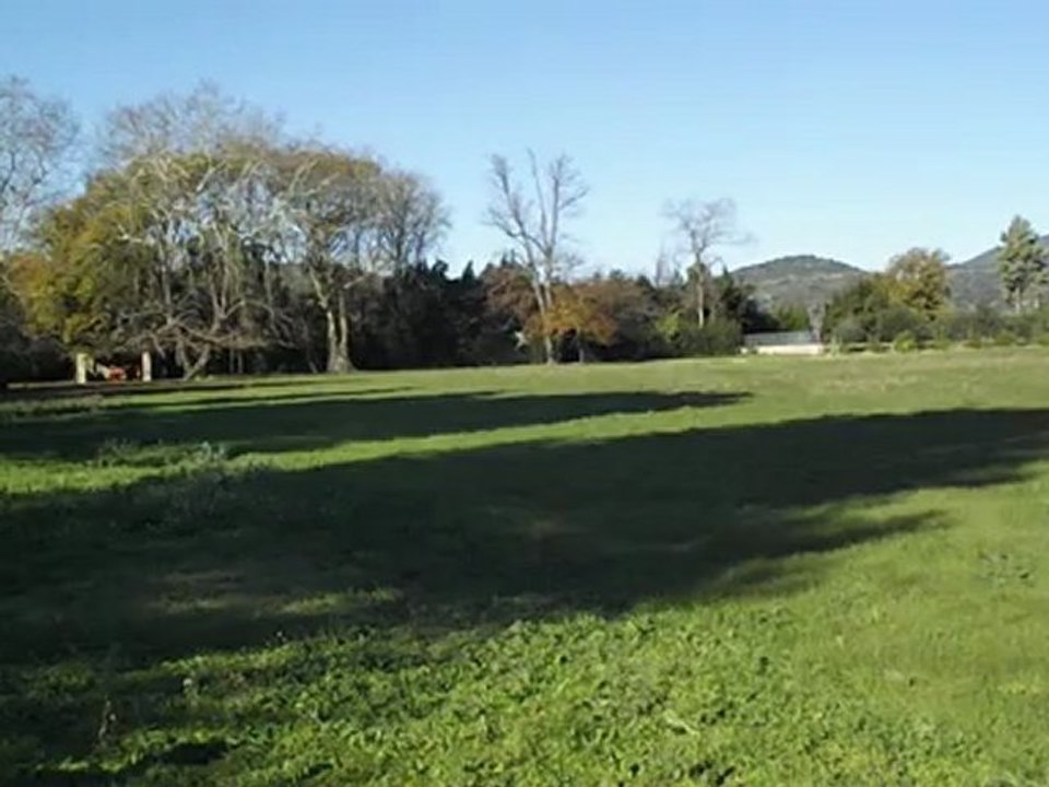 J.D. et son mini Protos