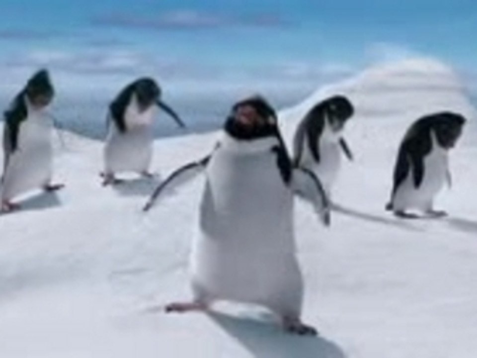 pinguinsingt_1