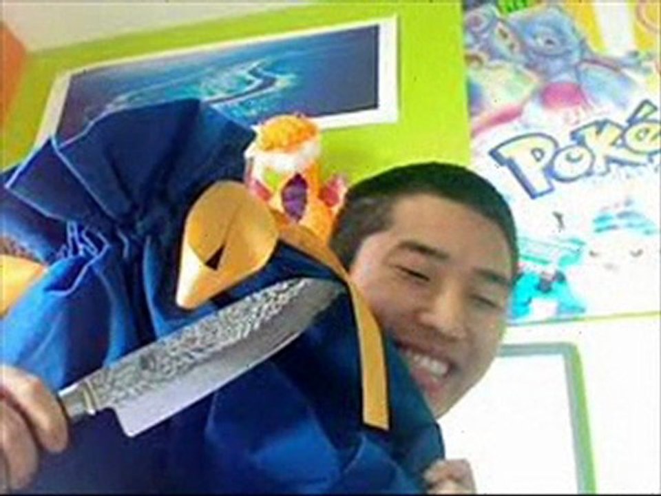 Shun Premier Santoku Knife, 7-Inch Review