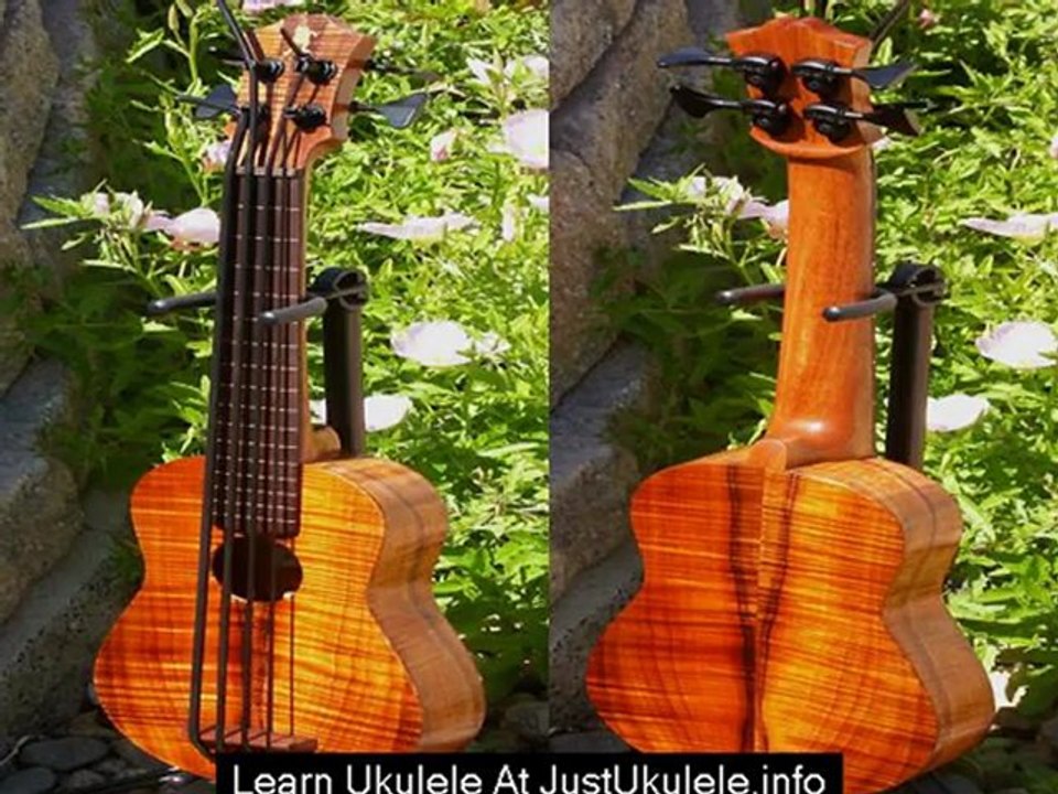 beginner ukulele chord chart
