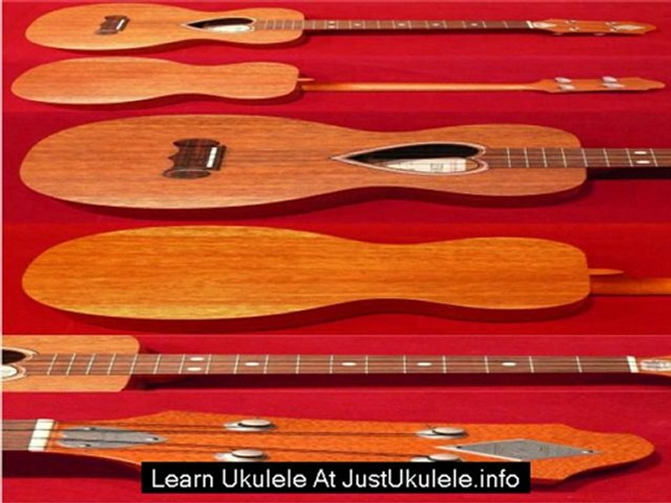 beginner ukulele dvd