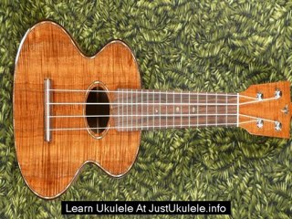 beginner ukulele hawaiian songs