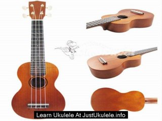 beginner ukulele lesson