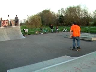 Alex flip front quarter