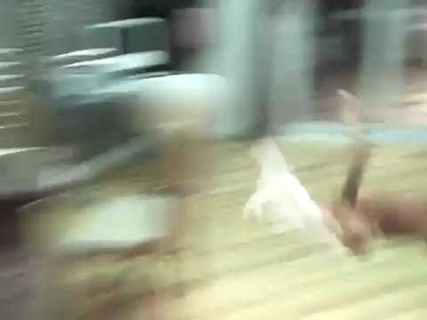 Comment empêcher votre chat de monter sur un meuble ? - The Appli dispo sur l'app store Gratuit - # TheAppli