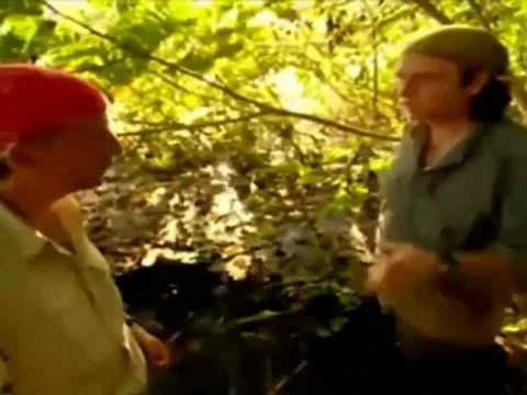 Insectos Mortales(asturweb)