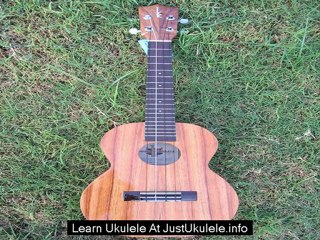 play ukulele for beginners