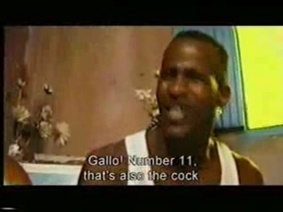 Excerpt from Cuba Feliz