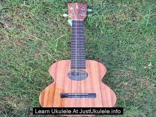 ukulele online tuner for beginners