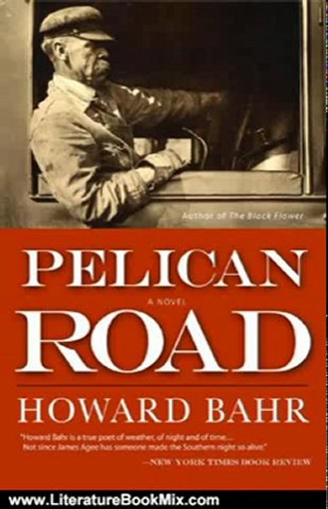 Literature Book Review: Pelican Road by Howard Bahr