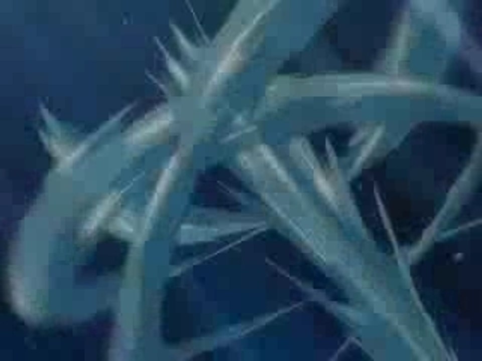 Amv Bleach les meilleurs combats