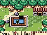 The legend of Zelda Link's Awakening DX 9 (Le Boo surnomé l'emmerdeur)