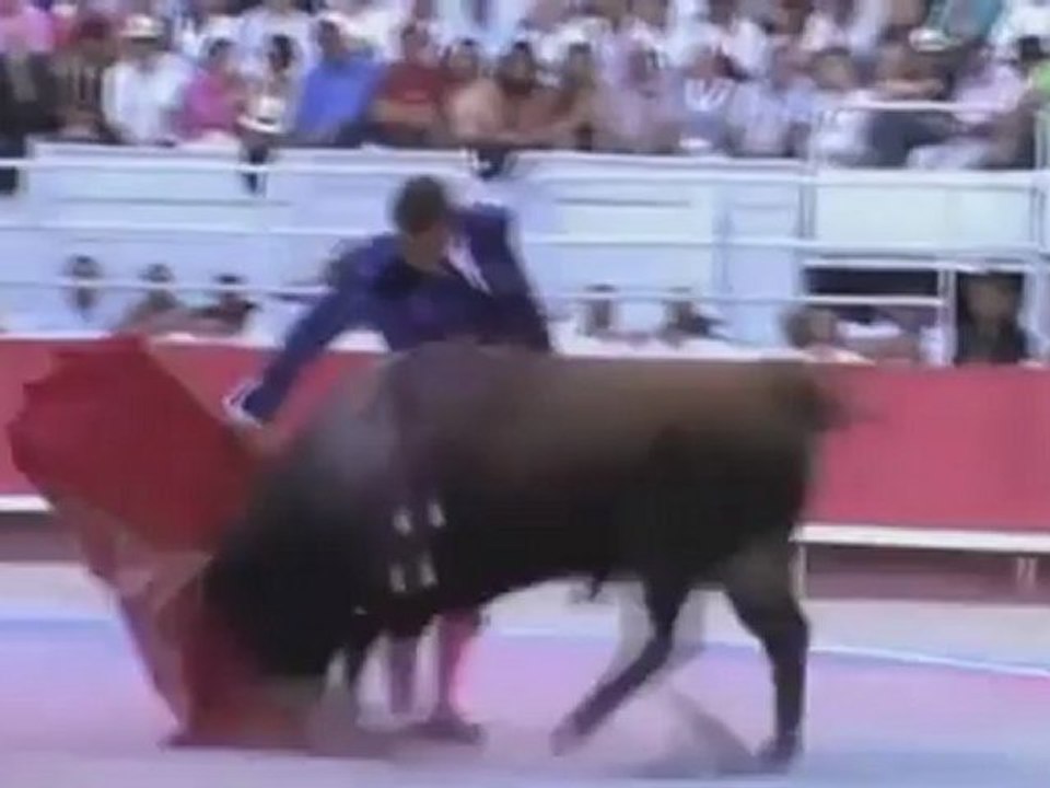 JUAN BAUTISTA 2012