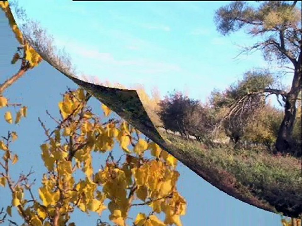 ALİ AKSOY : SONBAHAR (2. VERSİYON)