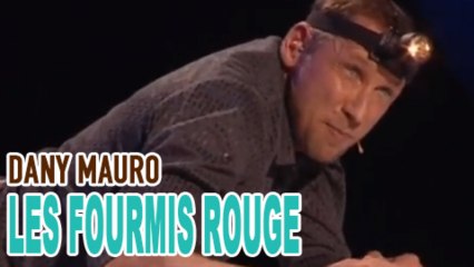 Dany MAURO, Les fourmis rouges