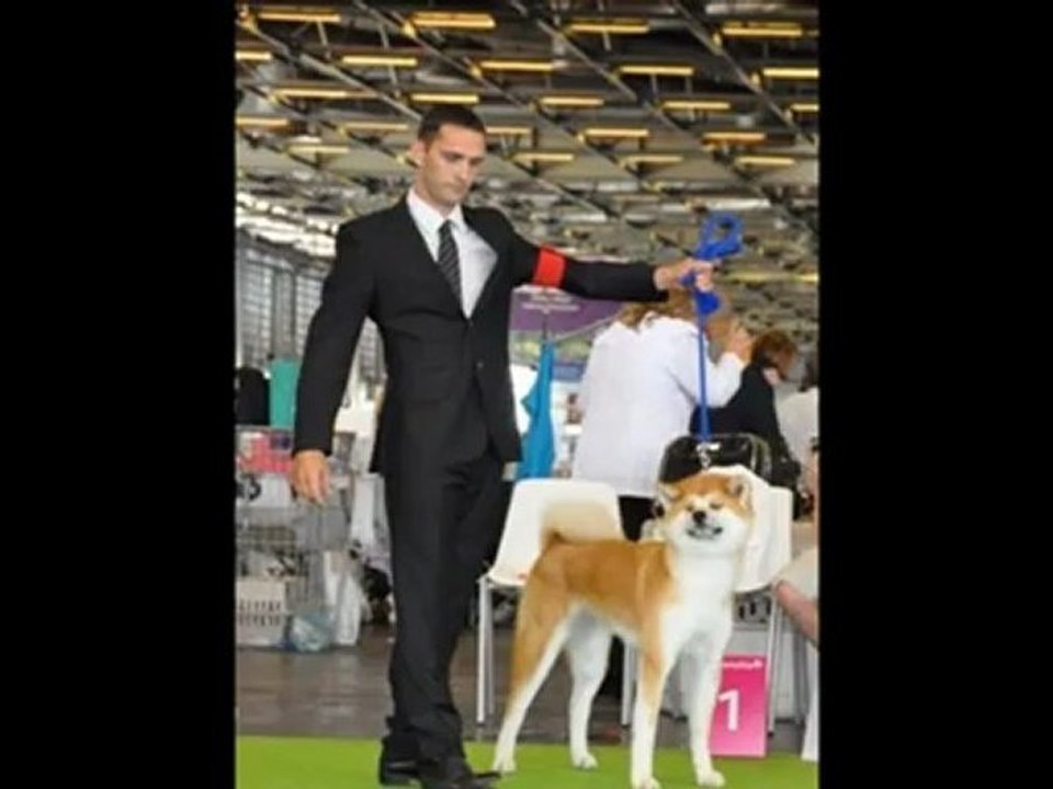 DES PUISSANTS DRAGONS