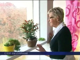 F3L-20121207-CEL Le Corbusier.m2ts.0