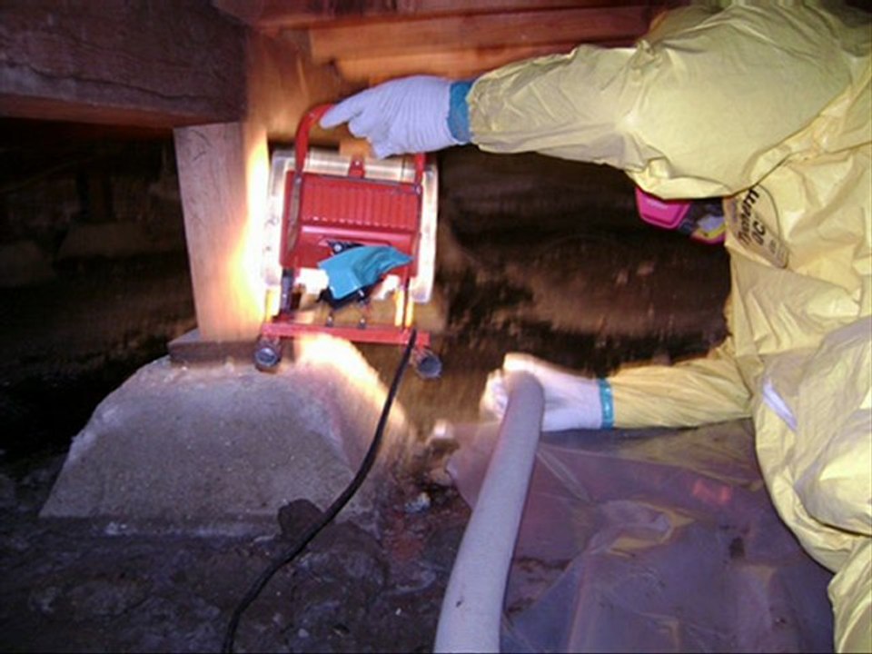 Take Immediate Actions for mold removal