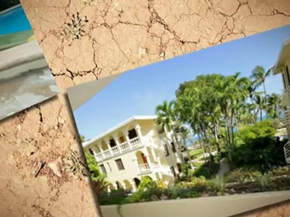 Palm Beach Condos