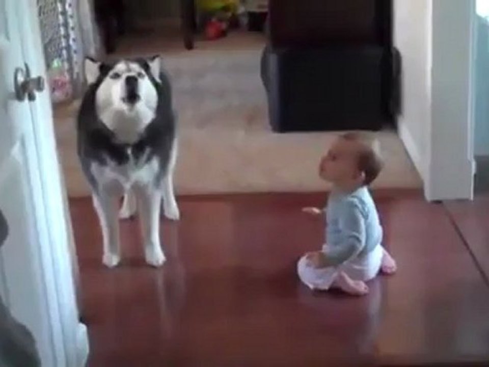 Un bébé discute avec son chien !!