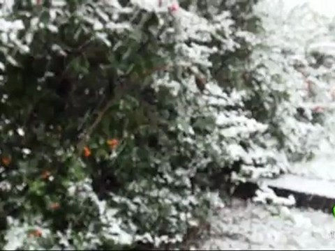 Video: la prima neve è arrivata anche nella provincia di Rimini