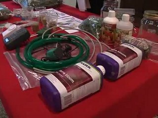 fabbrica di marijuana in casa