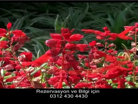 Club Asteria Otel Belek Antalya - vesturizm.com.tr