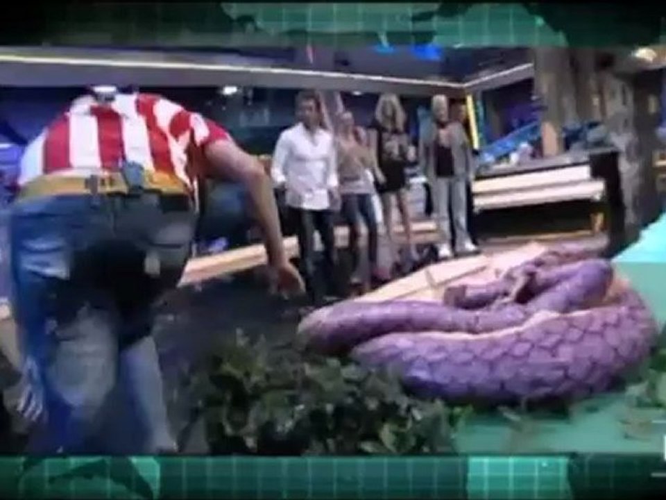 TV3 - APM? - El càsting de l'Homo APM?