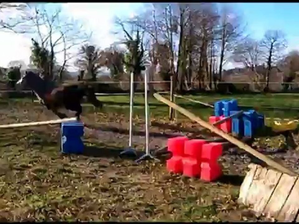 Ar Tartifume mâle CO de Quitus de la loue et Eva Kazeg Ar Crano (suite)